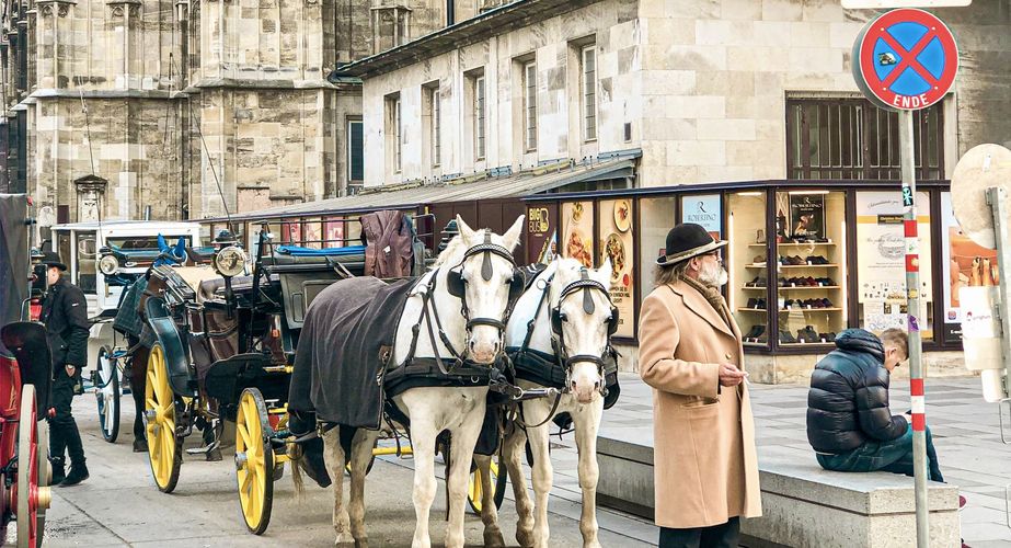 Groepsreis Oost Europa, Wenen Groepsreis Oost Europa, Wenen